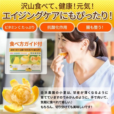 【令和8年5月発送】 訳あり 小夏3.5キロ 柑橘 フルーツ 日向夏 【R01152】