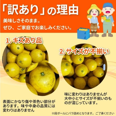 【令和8年5月発送】 訳あり 小夏3.5キロ 柑橘 フルーツ 日向夏 【R01152】