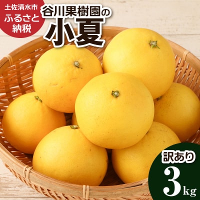 < 訳あり>小夏 3kg 日向夏 みかん   自宅用 高知【R01146】