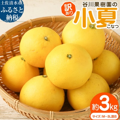< 訳あり>小夏 3kg サイズ混合 別名:日向夏 みかん 自宅用 高知県産 柑橘【R01146】