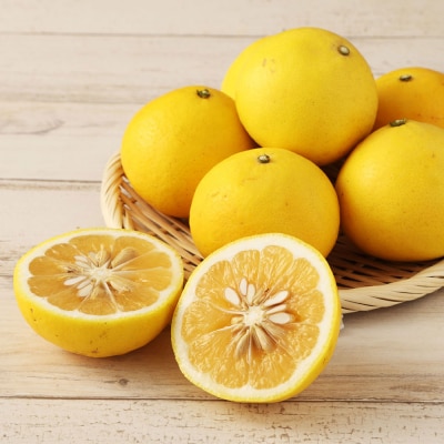 < 訳あり>小夏 3kg 日向夏 みかん   自宅用 高知【R01146】