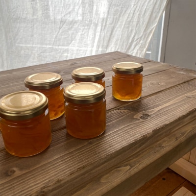 シュトーレン(フルーツ)小 125g 季節のジャム3種付 セット 【R01029】