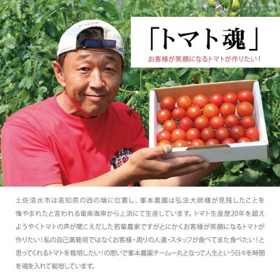 トマト魂!峯本の贅沢フルティカトマト(中玉サイズ)1キロ ミディトマト【R01031】