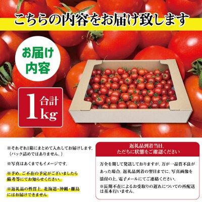 トマト魂!峯本の贅沢フルティカトマト(中玉サイズ)1キロ ミディトマト【R01031】