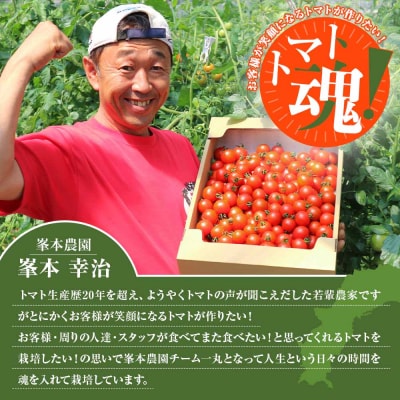 トマト魂!峯本の贅沢フルティカトマト(中玉サイズ)2キロ ミディトマト【R01032】