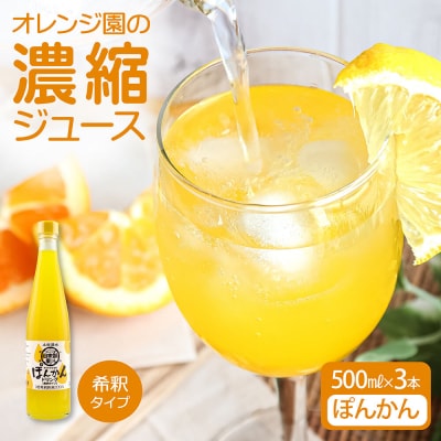 オレンジ園の濃縮ジュース ぽんかん 500ml 3本 希釈用 チューハイ 柑橘類 【R01117】