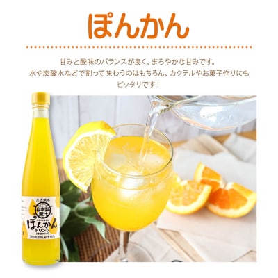 オレンジ園の濃縮ジュース ぽんかん 500ml 3本 希釈用 チューハイ 柑橘類 【R01117】