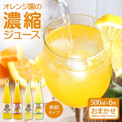 オレンジ園の濃縮ジュース 500ml おまかせ6本入り 希釈用 ドリンク 柑橘類【R01122】