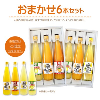オレンジ園の濃縮ジュース 500ml おまかせ6本入り 希釈用 ドリンク 柑橘類【R01122】