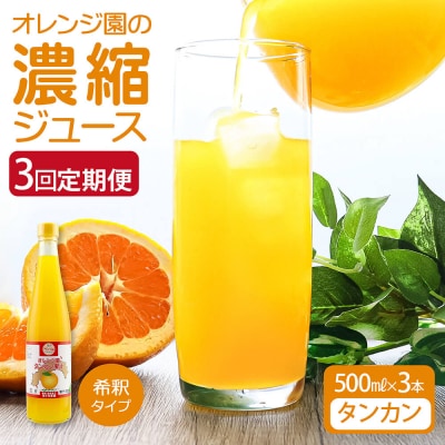 オレンジ園の濃縮ジュース タンカン 500ml 3本 3回定期便 希釈用 チューハイ【J00107】