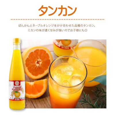 オレンジ園の濃縮ジュース タンカン 500ml 3本 3回定期便 希釈用 チューハイ【J00107】