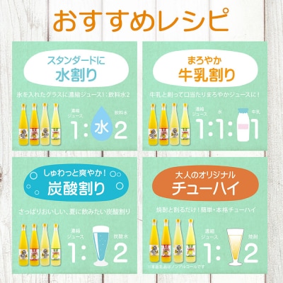 オレンジ園の濃縮ジュース タンカン 500ml 3本 3回定期便 希釈用 チューハイ【J00107】