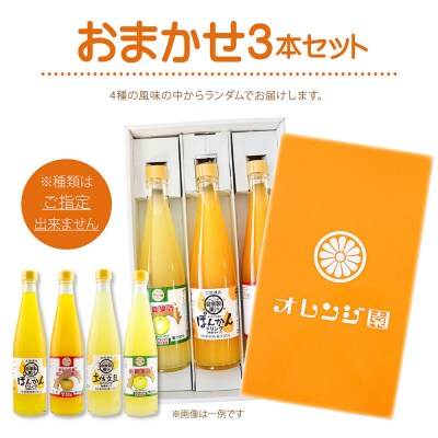 オレンジ園の濃縮ジュース おまかせ3本入 500ml 3回定期便 希釈用 チューハイ【J00110】