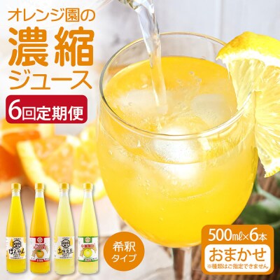 オレンジ園の濃縮ジュース おまかせ6本入 500ml 6回定期便 希釈用 チューハイ【J00117】