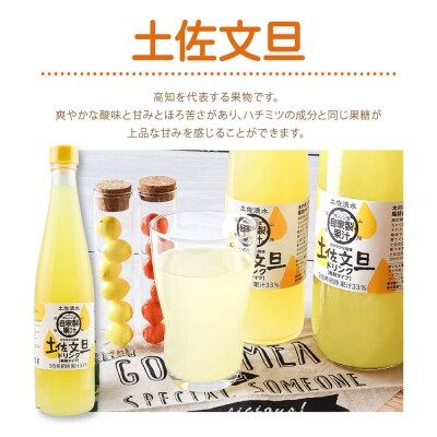 オレンジ園の濃縮ジュース 土佐文旦 500ml 3本 12回定期便 希釈用【J00120】