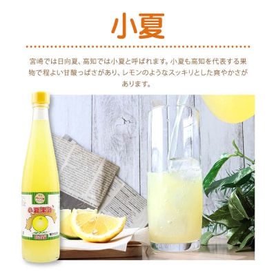 オレンジ園の濃縮ジュース 小夏 500ml 3本 12回定期便 希釈用【J00121】