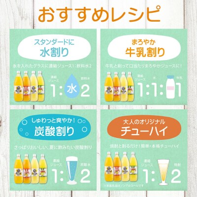 オレンジ園の濃縮ジュース ぽんかん 1L 3本 希釈用 みかんジュース チューハイ用【R01123】