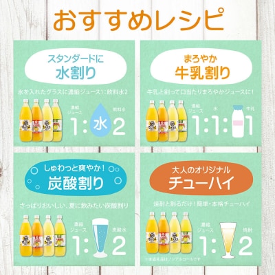 オレンジ園の濃縮ジュース タンカン 1L 3本 希釈用 みかんジュース チューハイ用【R01124】