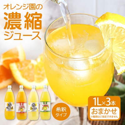 オレンジ園の濃縮ジュース 1L おまかせ3本入 希釈用 みかんジュース チューハイ用【R00539】