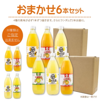オレンジ園の濃縮ジュース 1L おまかせ6本入 希釈用 みかんジュース チューハイ用【R01127】