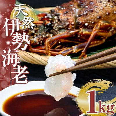 天然伊勢海老1kg(サイズ・匹数おまかせ)甲殻類 アウトドア キャンプ 海鮮BBQ【R00625】