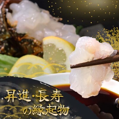 天然伊勢海老1kg(サイズ・匹数おまかせ)甲殻類 アウトドア キャンプ 海鮮BBQ【R00625】