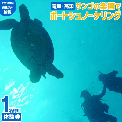 高知・竜串 シュノーケリング 体験券(1名分)初心者OK 海中公園 珊瑚 夏休み【R01527】