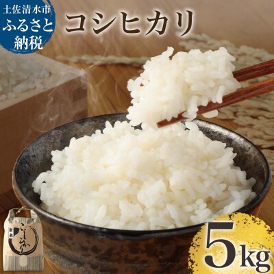 【先行受付】令和7年産 新米 コシヒカリ精米5kg(1袋) R01408