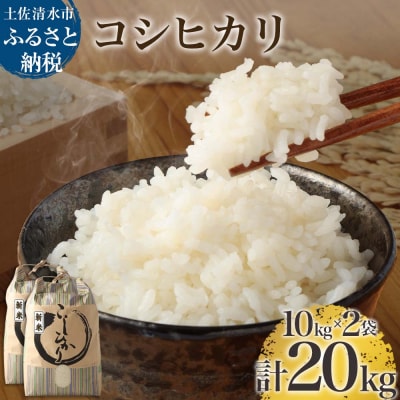 【先行受付】令和6年産 新米 コシヒカリ精米 20kg(10kg×2袋) R01185