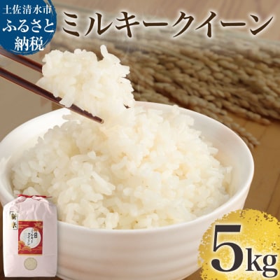 令和8年産 新米 ミルキークイーン精米5kg 白米 お米 ご飯 米 高知県産【R01251】
