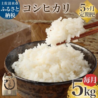 令和6年産 新米 コシヒカリ精米5kg(1袋)×5回定期便 白米 お米 ご飯 高知産【J00129】