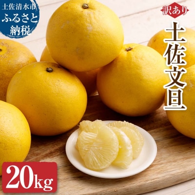 【令和9年3月】【訳あり】オレンジ園の土佐文旦20kg 柑橘 みかん ザボン【R01087】