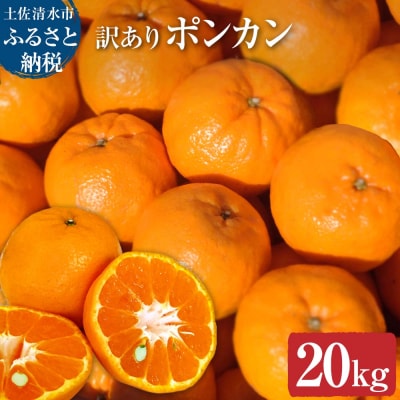 【令和9年発送　訳あり】ぽんかん20kg(オレンジ園)デコポンの親 柑橘 フルーツ【R01082】