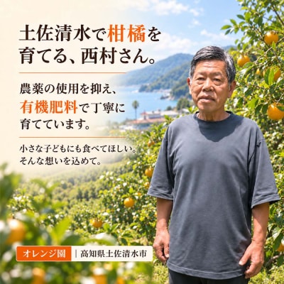 【令和9年発送　訳あり】ぽんかん5kg(オレンジ園) デコポンの親 柑橘 フルーツ【R01080】