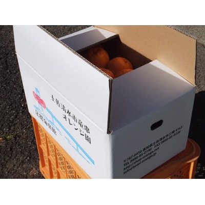 【令和9年発送　訳あり】ぽんかん5kg(オレンジ園) デコポンの親 柑橘 フルーツ【R01080】