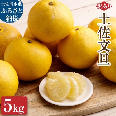 【令和9年3月】【訳あり】オレンジ園の土佐文旦5kg 柑橘 フルーツ みかん ザボン【R01085】