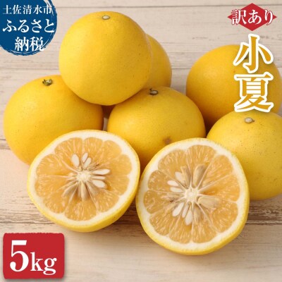【先行受付・訳あり】オレンジ園の小夏5kg 日向夏  ニューサマーオレンジ【R01090】