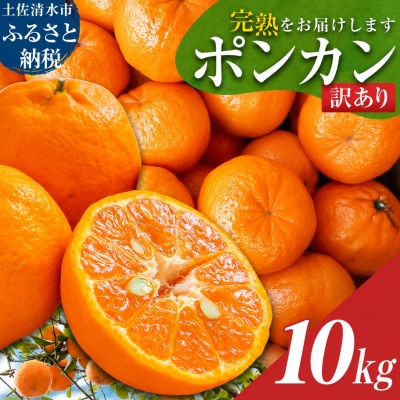 ぽんかん10kg(オレンジ園) デコポンの親 みかん 果物 【R9年発送 訳あり】R01081-1