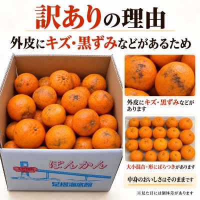 ぽんかん10kg(オレンジ園) デコポンの親 みかん 果物 【R9年発送 訳あり】R01081-1