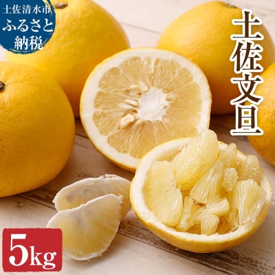 【令和9年3月】オレンジ園の土佐文旦5kg 柑橘 フルーツ みかん ザボン【R01088】