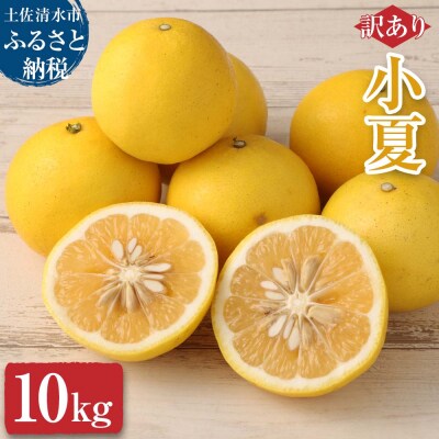 先行受付【訳あり】オレンジ園の小夏10kg 日向夏  ニューサマーオレンジ みかん【R01091】