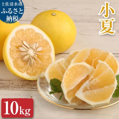 【先行受付】オレンジ園の小夏10kg 日向夏 ニューサマーオレンジ みかん 柑橘【R01093】