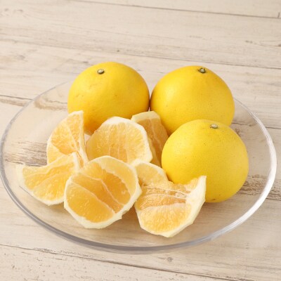 【先行受付】オレンジ園の小夏10kg 日向夏 ニューサマーオレンジ みかん 柑橘【R01093】