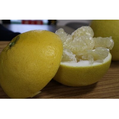 オレンジ園の土佐文旦10kg 柑橘 フルーツ みかん ザボン【R01089】