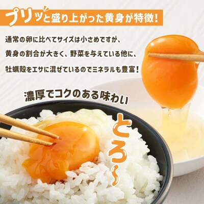 土佐ジローの卵 定期便(12個入り×2回)もみ殻梱包 ブランド卵 タマゴ たまご【J00141】