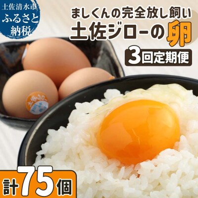 土佐ジローの卵 定期便(25個入り×3回)もみ殻梱包 ブランド卵 タマゴ たまご【J00144】