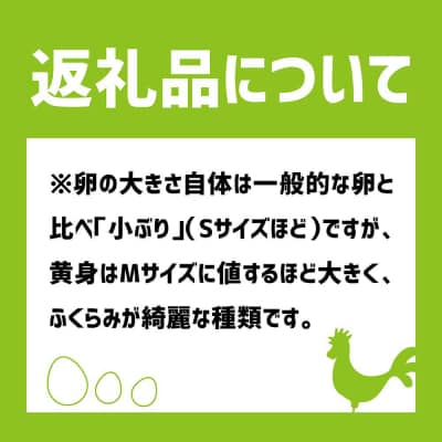 土佐ジローの卵 定期便(12個入り×5回)もみ殻梱包 ブランド卵 タマゴ たまご【J00132】
