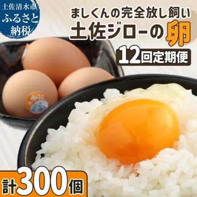土佐ジローの卵 定期便(25個入り×12回)もみ殻梱包 ブランド卵 タマゴ たまご【J00137】