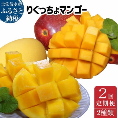 2種定期便 アップルマンゴー&金蜜マンゴー(各種1kg・2個～4個入り)完熟フルーツ【J00025】