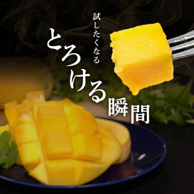 2種定期便 アップルマンゴー&金蜜マンゴー(各種1kg・2個～4個入り)完熟フルーツ【J00025】